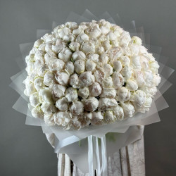 101 белый пион