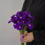 7 фиолетовых ирисов фото 3